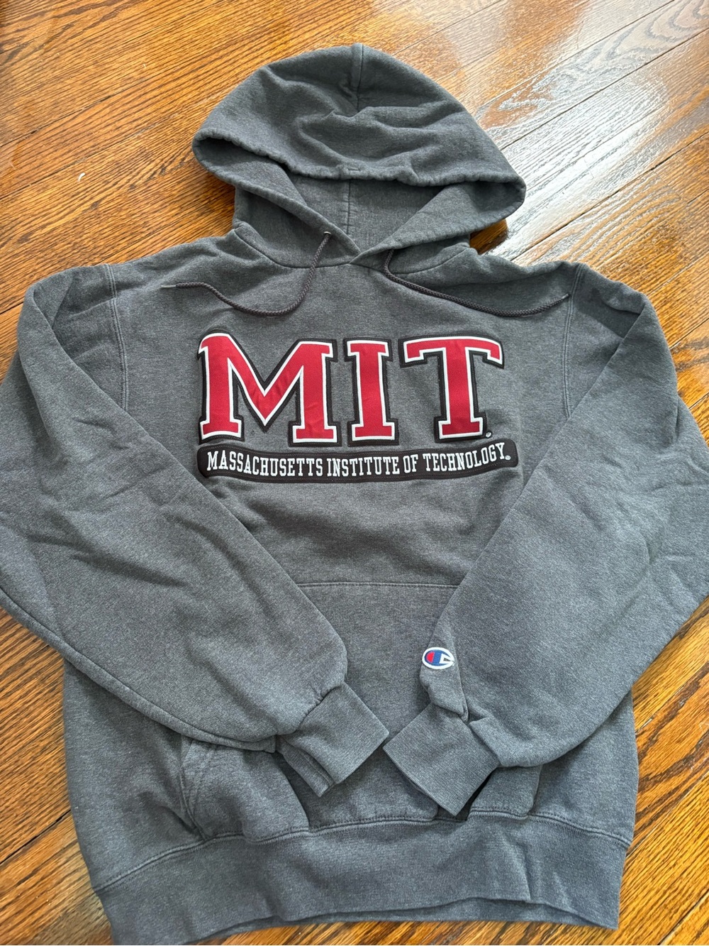 Champion Gray Hoodie with Red MIT Lettering